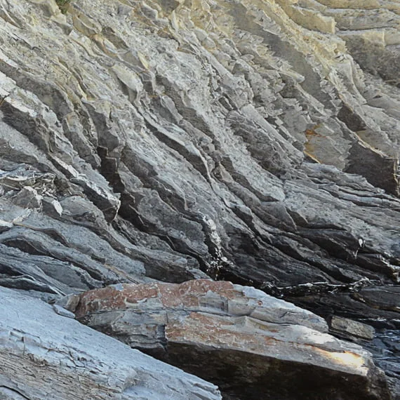 Gros plan de formations rocheuses stratifiées et texturées avec différentes nuances de gris et de brun.