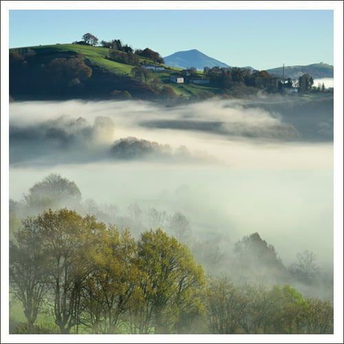 Collines ondulantes et groupes d'arbres partiellement couverts par le brouillard matinal, avec des maisons dispersées sur les collines et une montagne lointaine à l'arrière-plan.